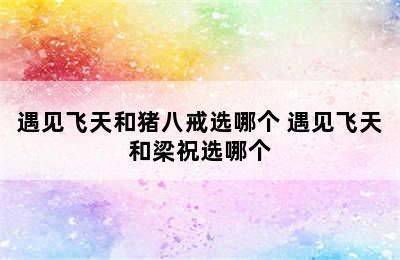 遇见飞天和猪八戒选哪个 遇见飞天和梁祝选哪个